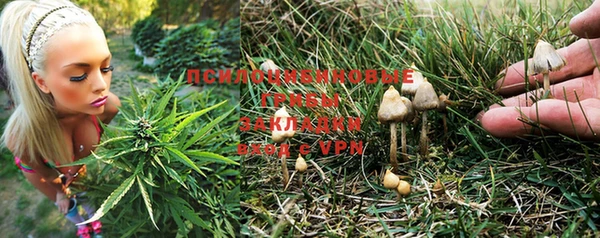 гашишное масло Бородино