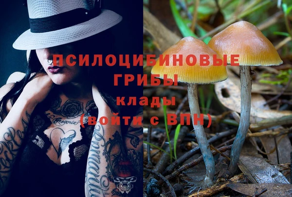 ешки Верхний Тагил