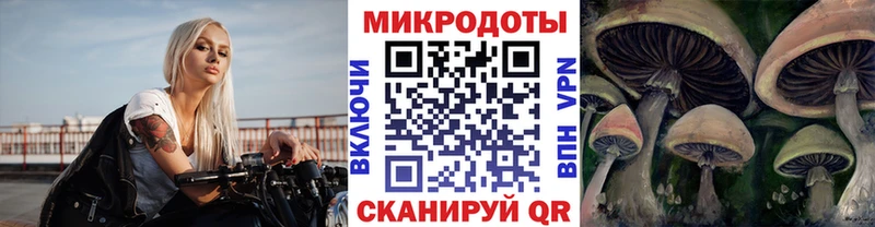 Псилоцибиновые грибы MAGIC MUSHROOMS закладки Задонск
